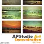 AP Studio Art 2D Design (Concentration)